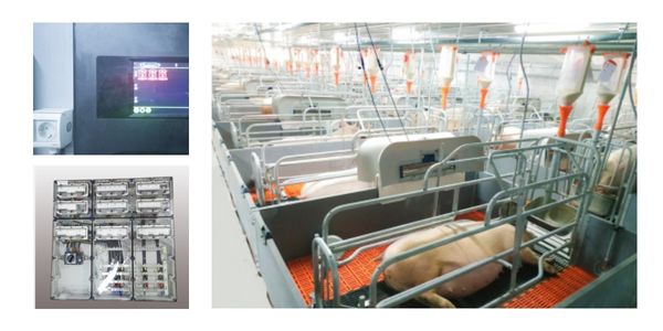 Waterproof Industrial Sockets