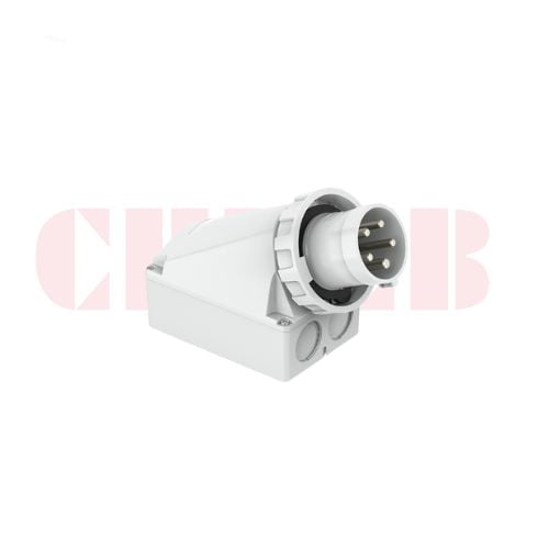 125A 5P IEC 60309 Wall Mounted Industrial Plug, 400V, IP67