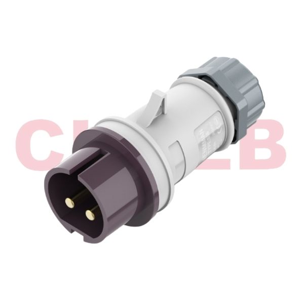 16A/2P-629 IP44 20V-25V Low voltage plug