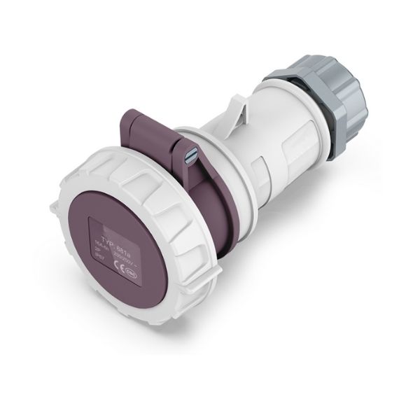 16A 2P IEC 60309 Low Voltage Industrial Connector, 20–25V, IP67, Inline